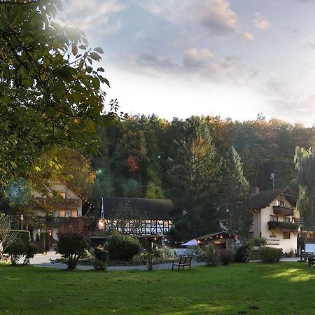 Hotel Restaurant Paradeismühle Klingenberg am Main Exterior foto